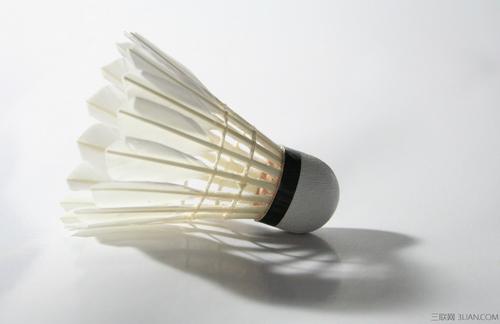 开拓者的禁 开拓者的禁